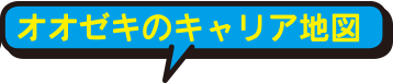 オオゼキのキャリア地図